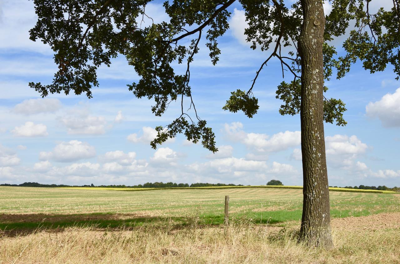 Bed and Breakfast De Hagendoorn Moorveld Экстерьер фото